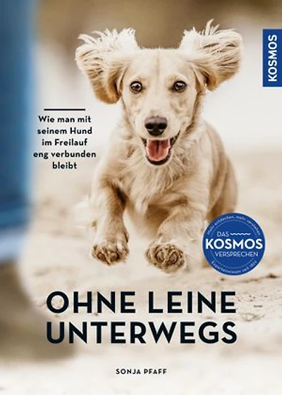 Ohne Leine unterwegs: Wie man mit seinem Hund im Freilauf eng verbunden bleibt