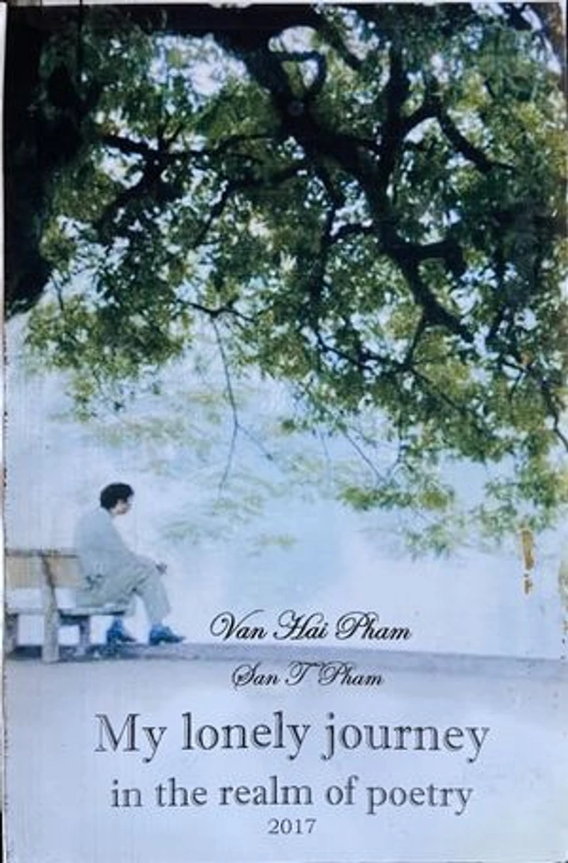 A Lonely Journey in the Realm of Poetry