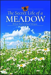 The Secret Life of a Meadow