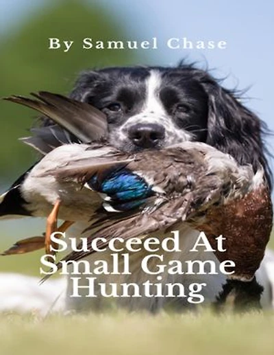 Succeed At Small Game Hunting