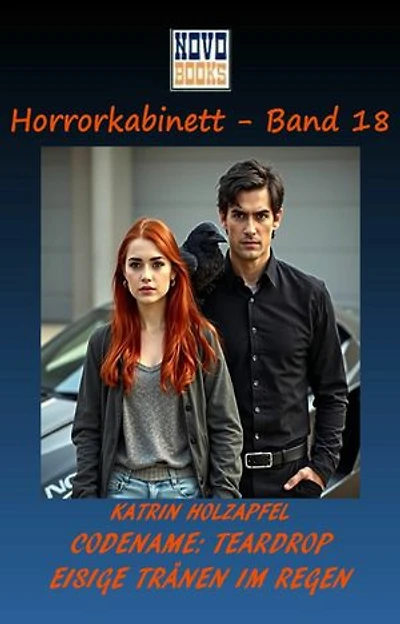 Codename: Teardrop Eisige Tränen im Regen: Horrorkabinett - Band 18