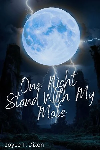 One Night Stand With My Mate