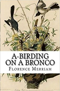 A-Birding on a Bronco