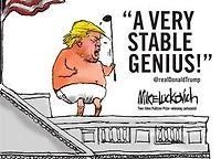 A Very Stable Genius: @realdonaldtrump