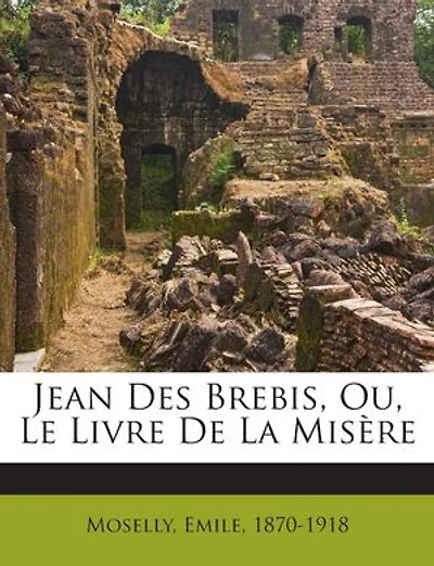 Jean des Brebis ou le Livre de la misère