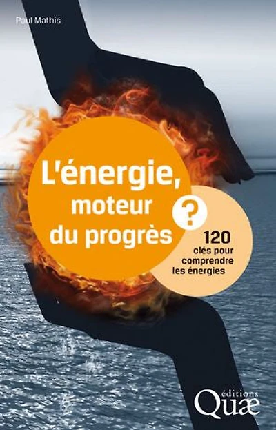 L'énergie, moteur du progrès ?: 120 clés pour comprendre les énergies