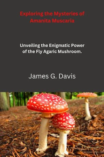 Exploring the Mysteries of Amanita Muscaria: Unveiling the Enigmatic Power of the Fly Agaric Mushroom.
