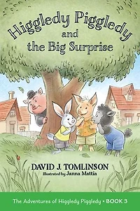 Higgledy Piggledy and The Big Surprise: Adventures of Book 3 Volume