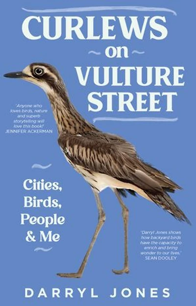 Curlews on Vulture Street