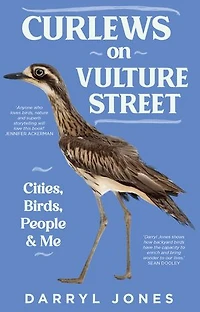 Curlews on Vulture Street