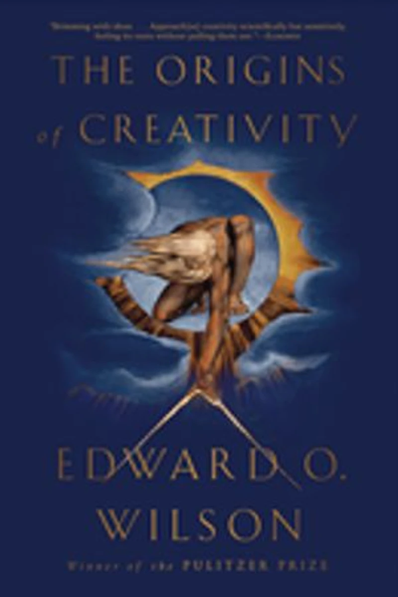ORIGINS OF CREATIVITY
