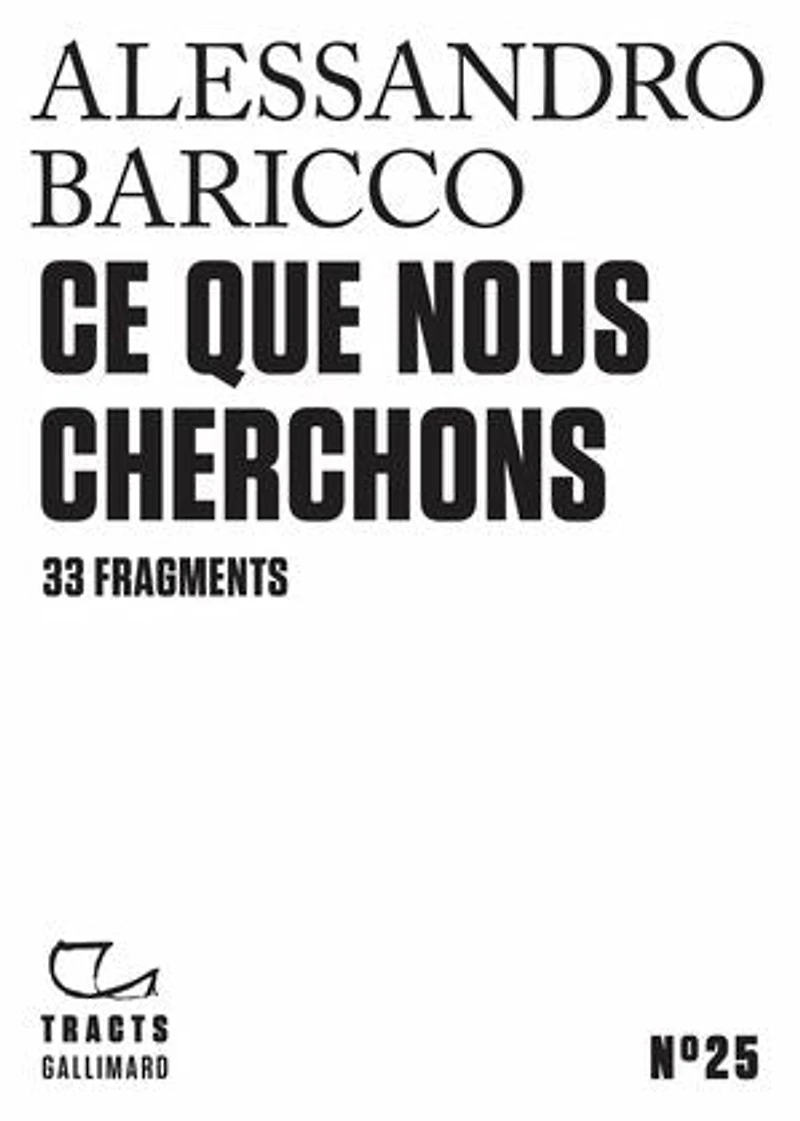 Ce que nous cherchons: 33 fragments