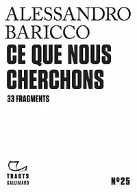 Ce que nous cherchons: 33 fragments