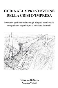 Guida alla prevenzione della crisi d'impresa. Prontuario per l'imprenditore sugli adeguati assetti e sulla composizione negoziata per la soluzione della crisi.