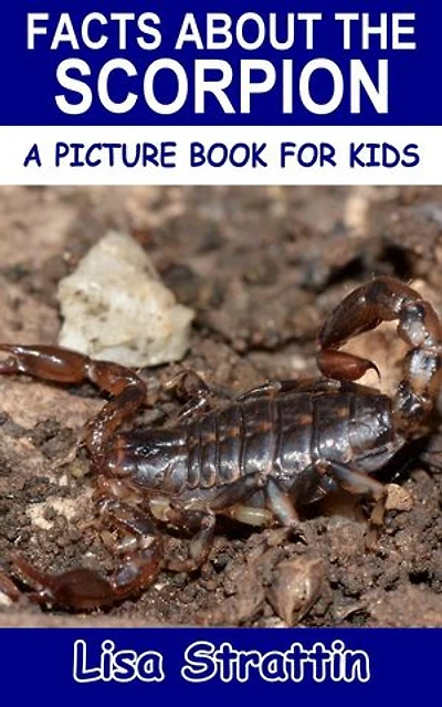Facts About the Scorpion: A Picture Book for Kids, #215