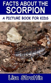 Facts About the Scorpion: A Picture Book for Kids, #215