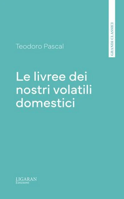 Le livree dei nostri volatili domestici