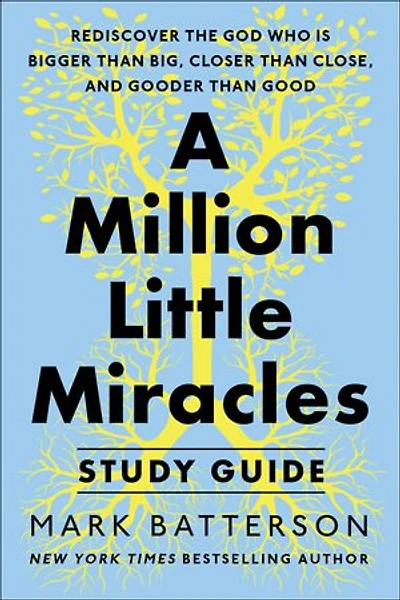 A Million Little Miracles Study Guide: Rediscover the God Who Is Bigger Than Big, Closer Then Close, and Gooder Good