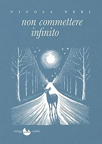 Non Commettere Infinito