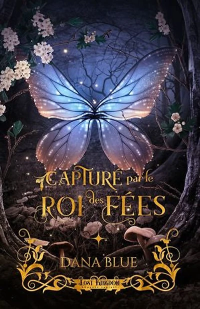CAPTURE PAR LE ROI DES FEES