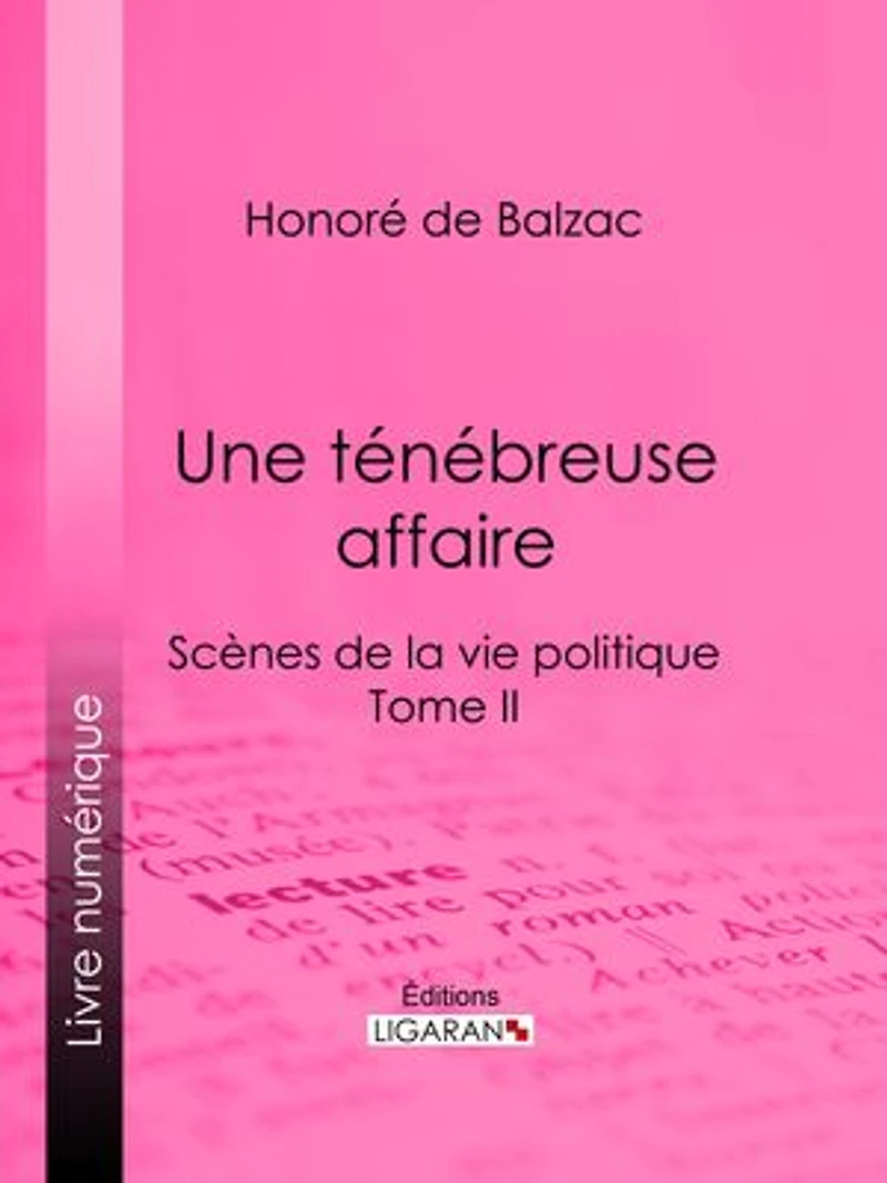 Une ténébreuse affaire: Scènes de la vie politique – Tome II