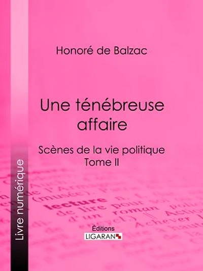 Une ténébreuse affaire: Scènes de la vie politique – Tome II