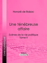 Une ténébreuse affaire: Scènes de la vie politique – Tome II