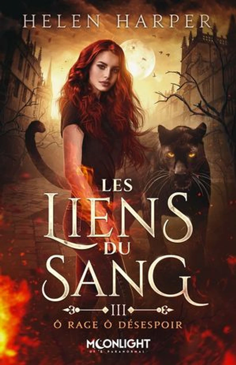 ô rage désespoir: Les liens du sang, T3