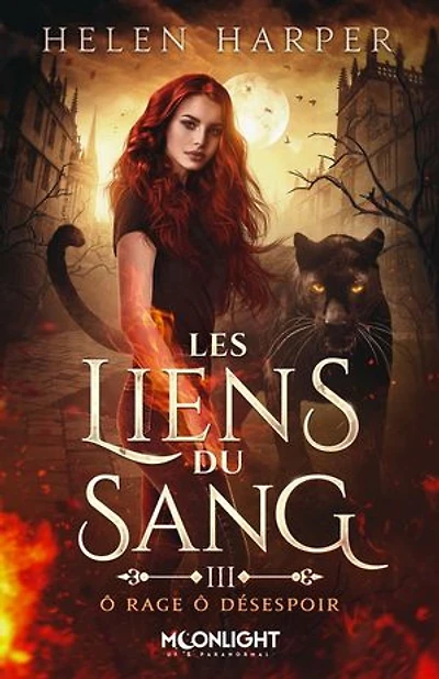 ô rage désespoir: Les liens du sang, T3
