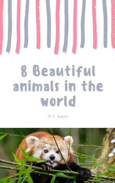 8 Beautiful animals: in the world