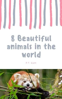 8 Beautiful animals: in the world