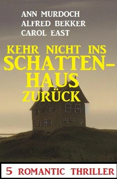 Kehr nicht ins Schattenhaus zurück! 5 Romantic Thriller