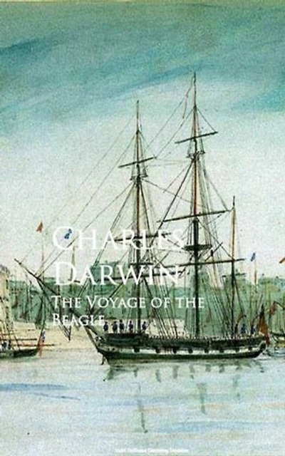 the Voyage of Beagle