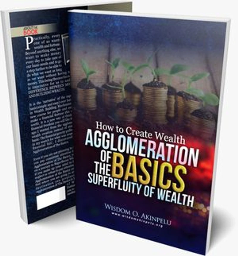 HOW TO CREATE WEALTH FROM SCRATCH: AGGLOMERATION OF THE BASICS SUPERFLUITY OF WEALTH.