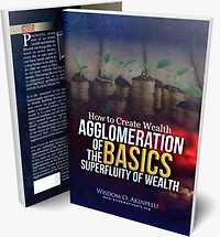 HOW TO CREATE WEALTH FROM SCRATCH: AGGLOMERATION OF THE BASICS SUPERFLUITY OF WEALTH.