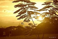 HOW TO READ THE BIBLE: Keys to Understanding the Word of God