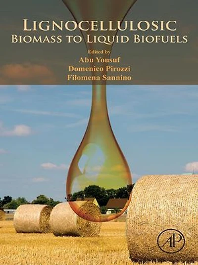 Lignocellulosic Biomass to Liquid Biofuels