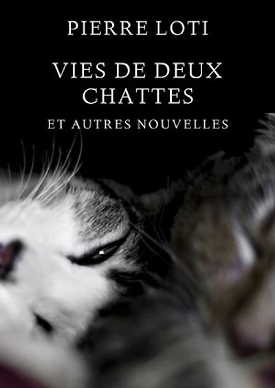 Vies de deux chattes