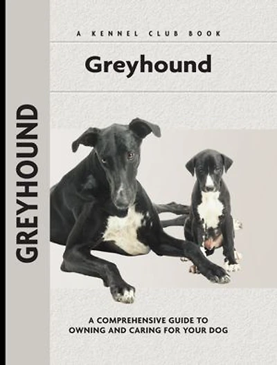 Greyhound