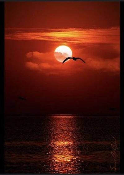 Little Book Open: Guide to Revelation 10 and Daniel 9 Prophecy made plain