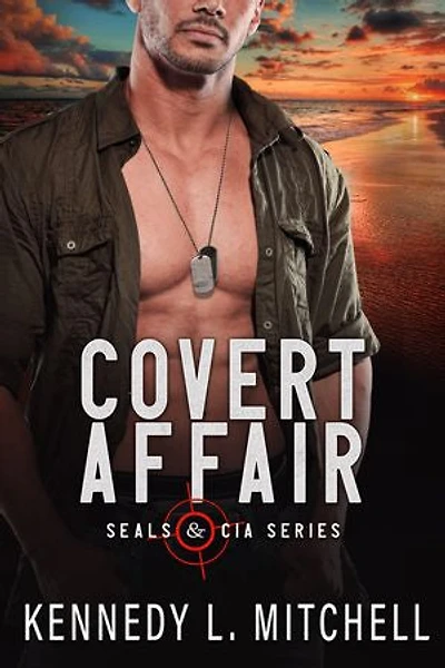 Covert Affair: A Standalone Navy SEAL Romantic Suspense