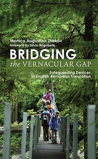 Bridging the Vernacular Gap: Safeguarding Devices English-Romanian Translation