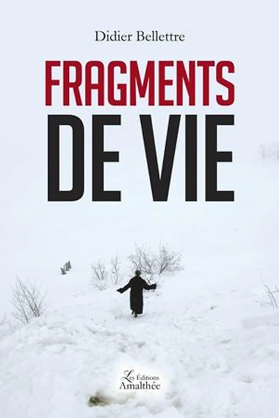 Fragments de vie