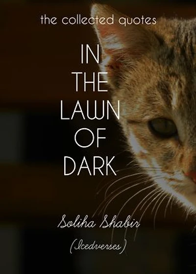 In The Lawn Of Dark