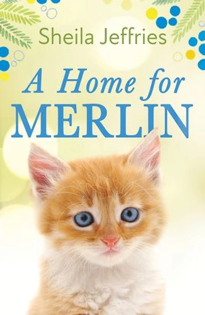 A Home for Merlin: An inspiring and heartwarming story of friendship