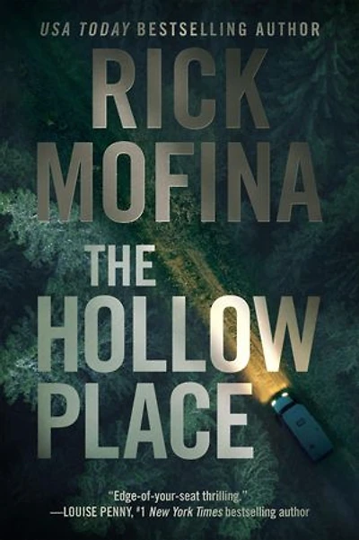 The Hollow Place: Ray Wyatt, #2