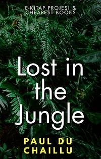 Lost in the Jungle
