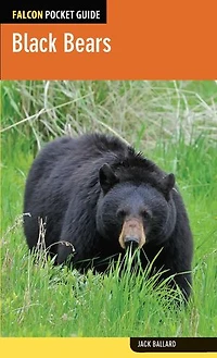 Black Bears