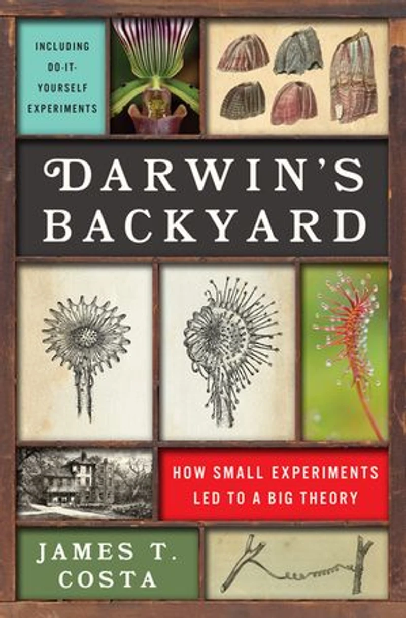 Darwin's Backyard: How Small Experiments Led To A Big Theory