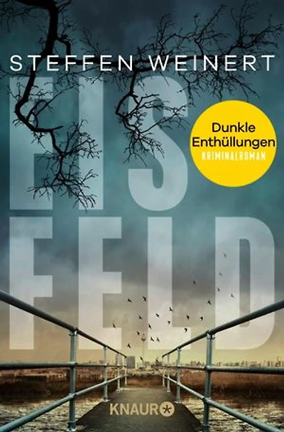 Eisfeld – Dunkle Enthüllungen: Kriminalroman | Der zweite Band der fesselnden Berlin-Krimireihe – ein toter Journalist und ein düsteres Geheimnis (Mara Eisfeld ermittelt 2)